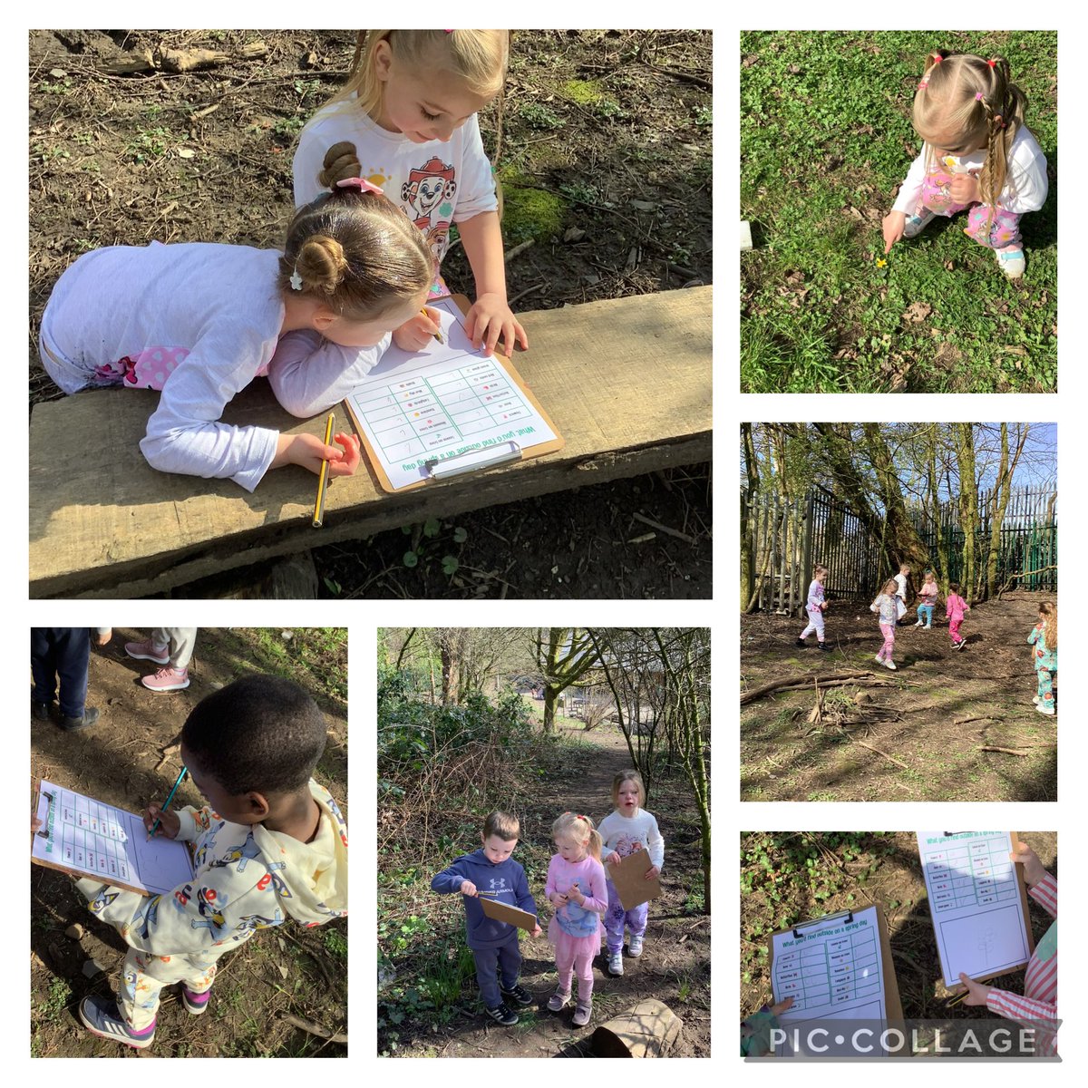 Miss Ford tweet media