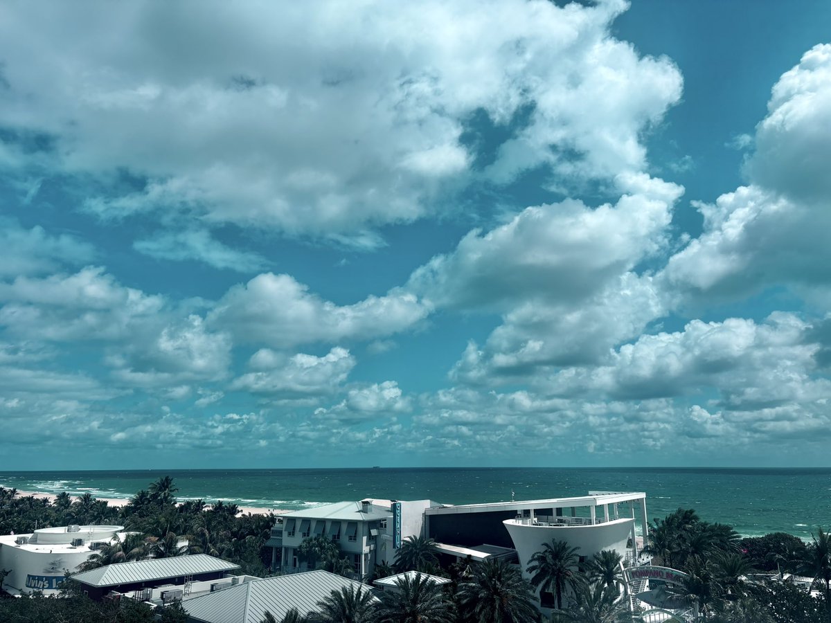 The Tallahassee Patriots 🌲 tweet media