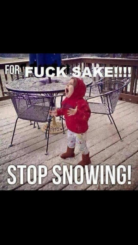 GusV55🇨🇦⛳️🏌🏻♂️ tweet media