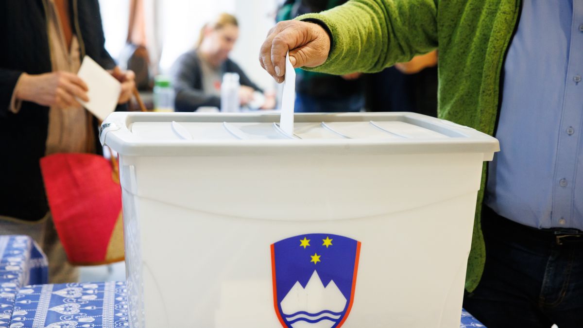 Stuart Dowell tweet media