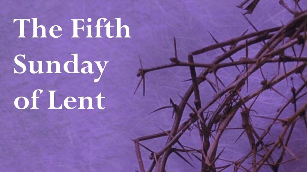 Jonathan Kester tweet media