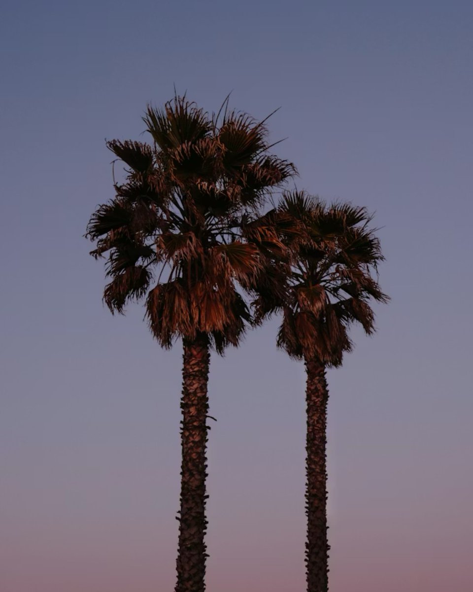 UCLA Extension tweet media