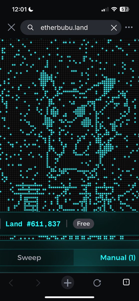 Capibara Trading tweet media