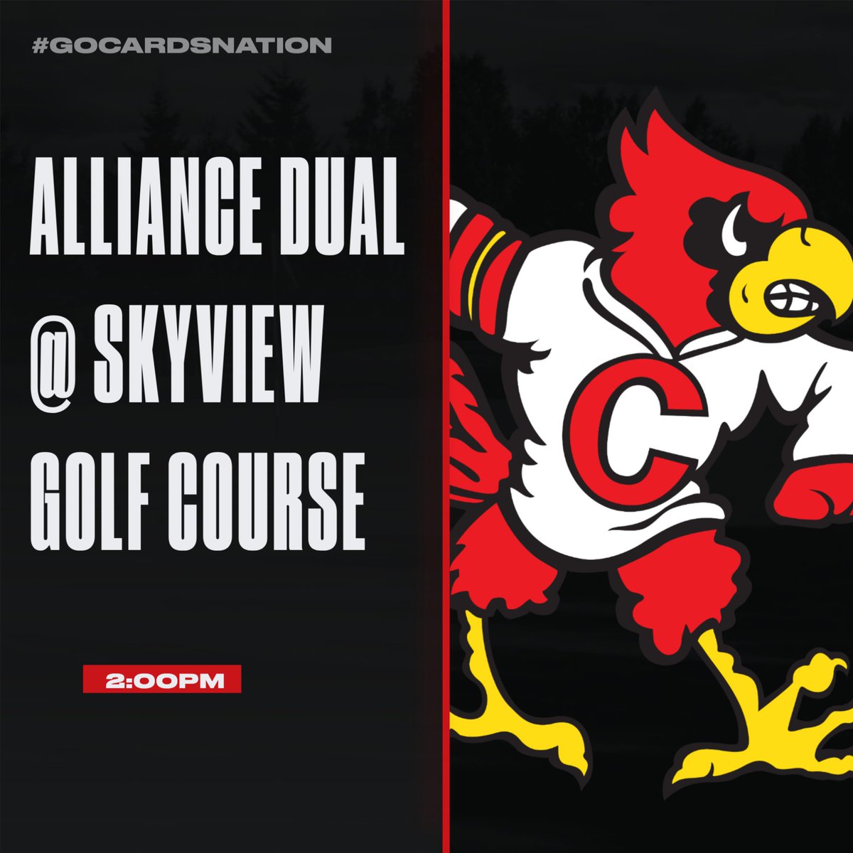 Chadron High School tweet media