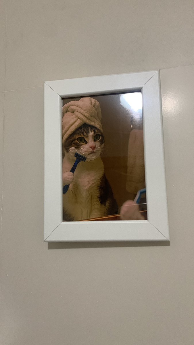 M A R A 🌻 tweet media