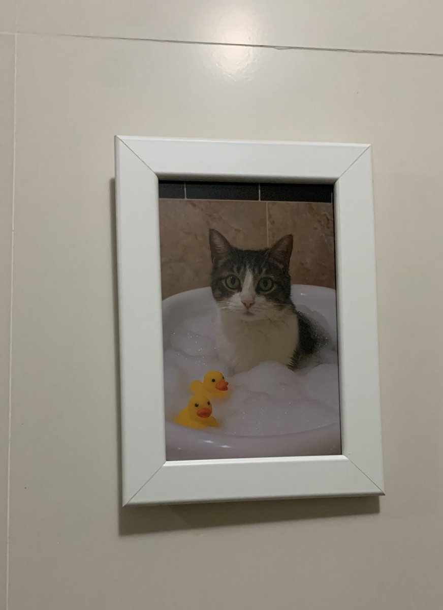 M A R A 🌻 tweet media