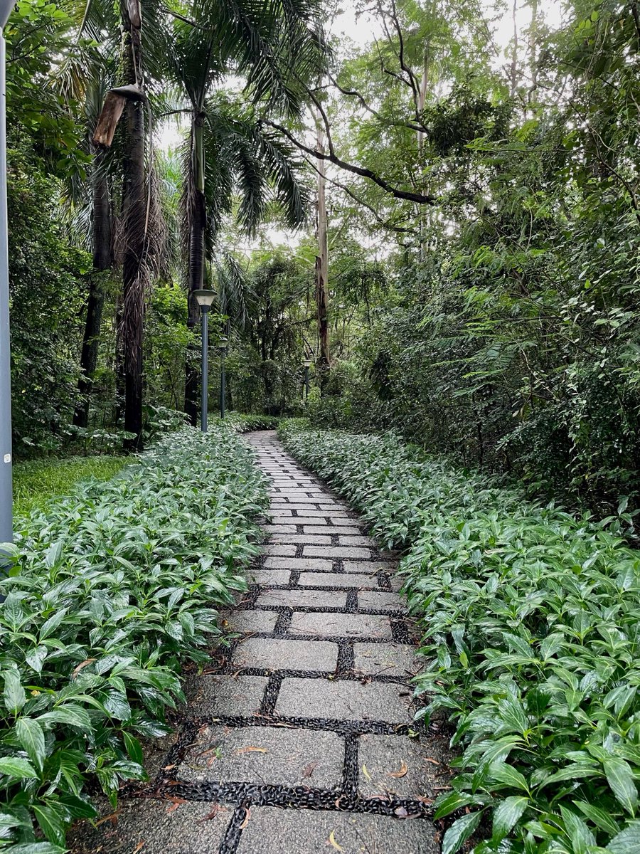 Jeremy Morris tweet media