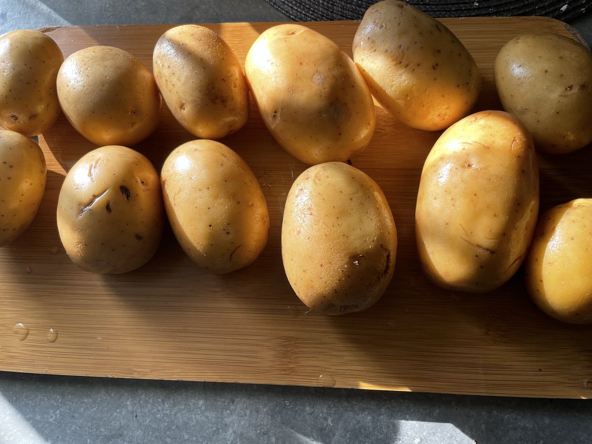 Jmax 🫧🫧🫧 tweet media