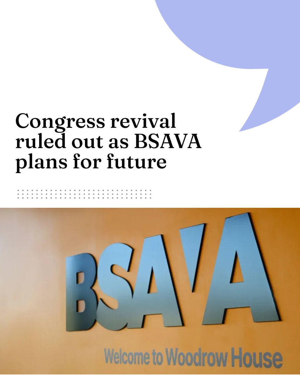 VN Times tweet media