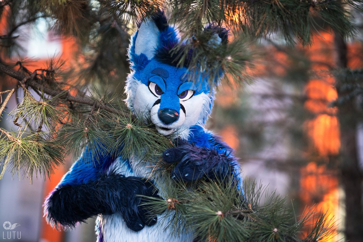 Etchy 🔜 FWA tweet media