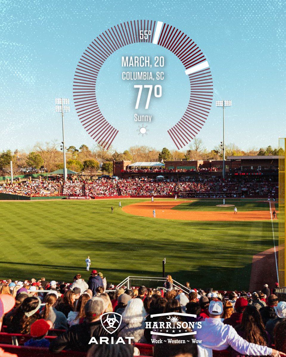 South Carolina Baseball tweet media