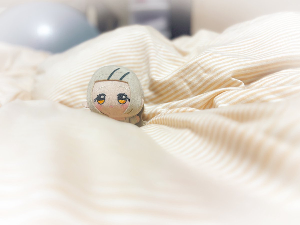 ぬぬぬい tweet media