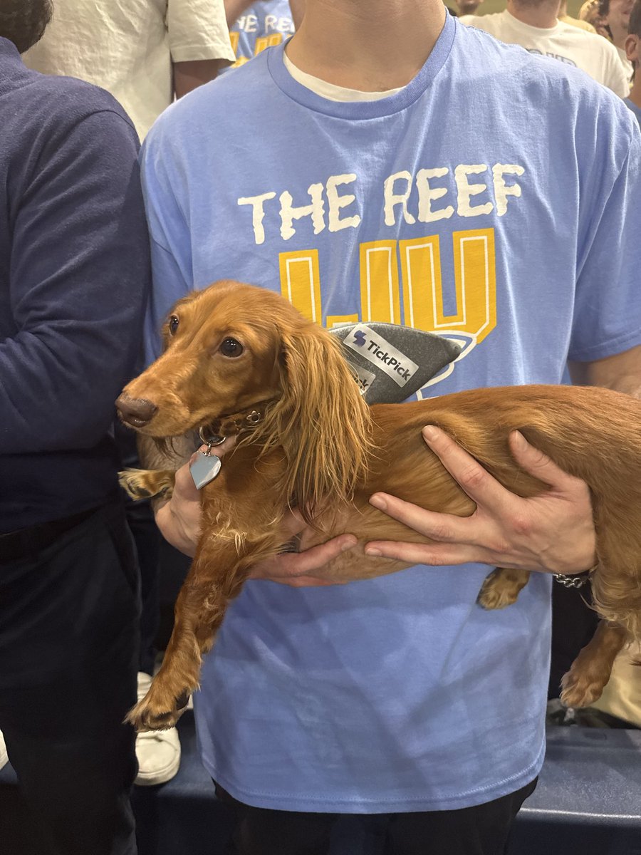 TickPick tweet media