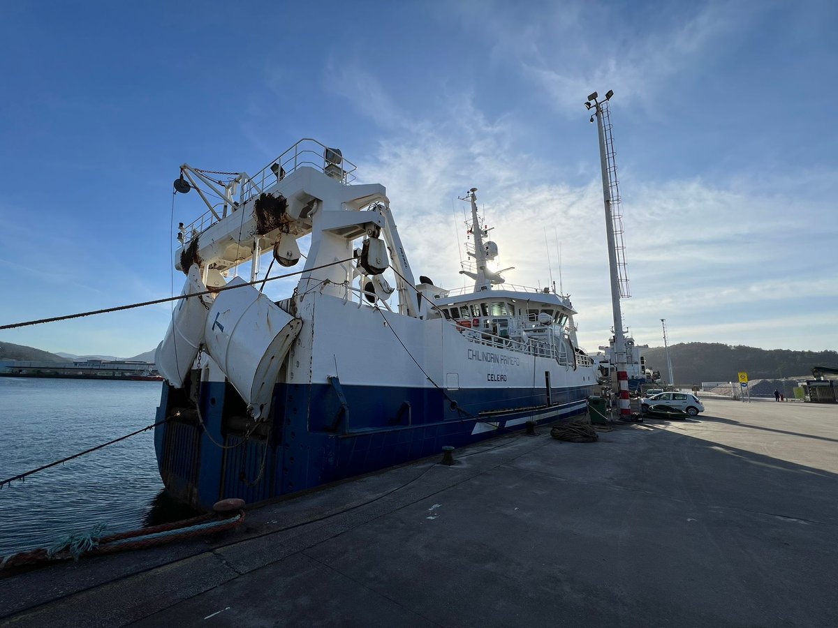 Industrias Pesqueras tweet media