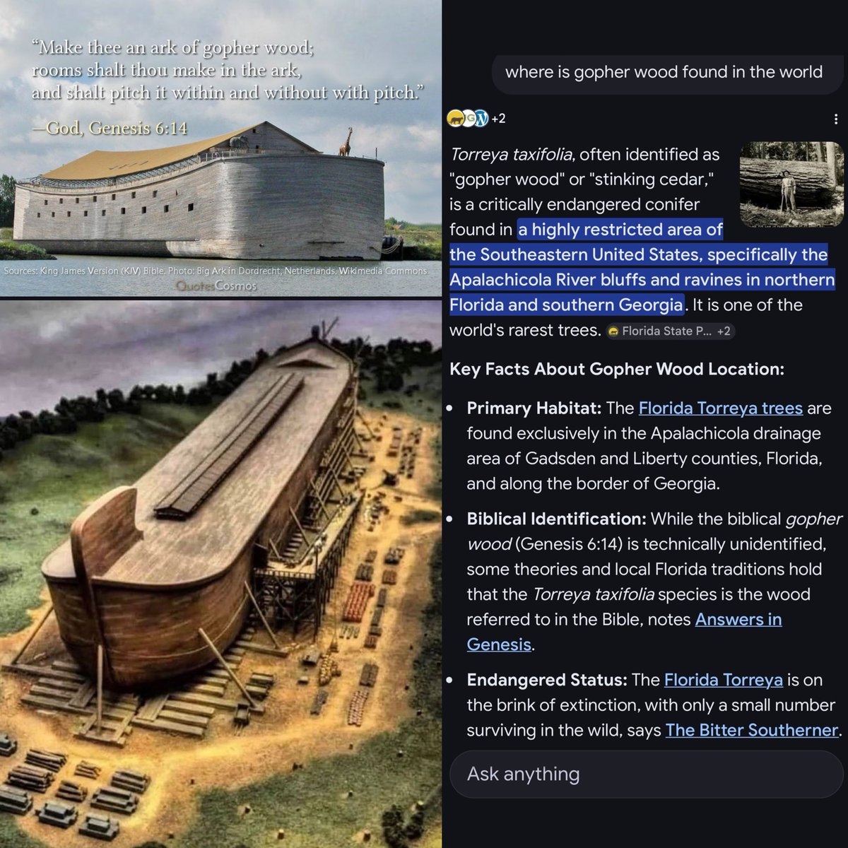 FEAR NO MORE tweet media