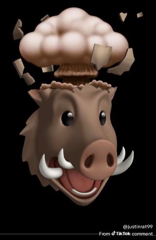 please senior tweet media