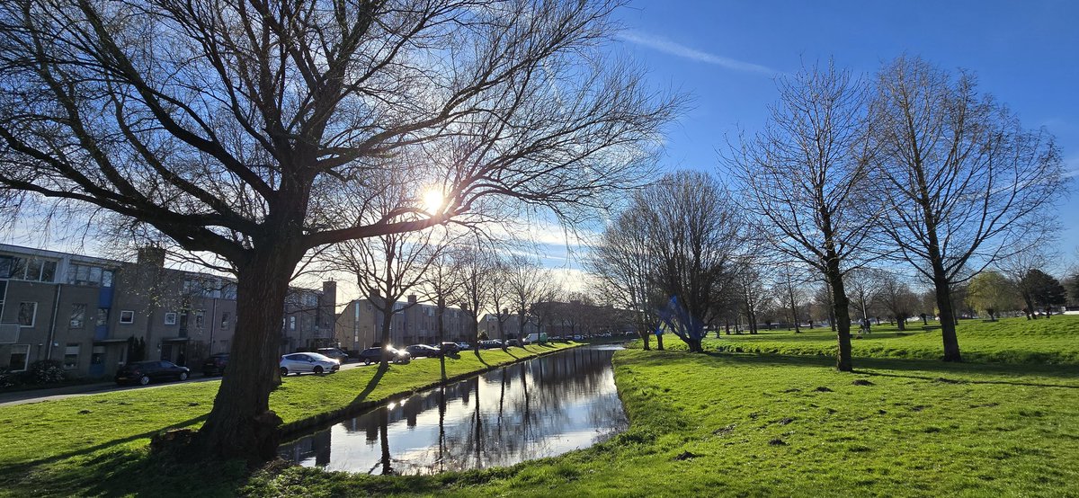 Onze wijk in lentetooi... 😎☀️🌱 #AlphenAanDenRijn #KerkEnZanen