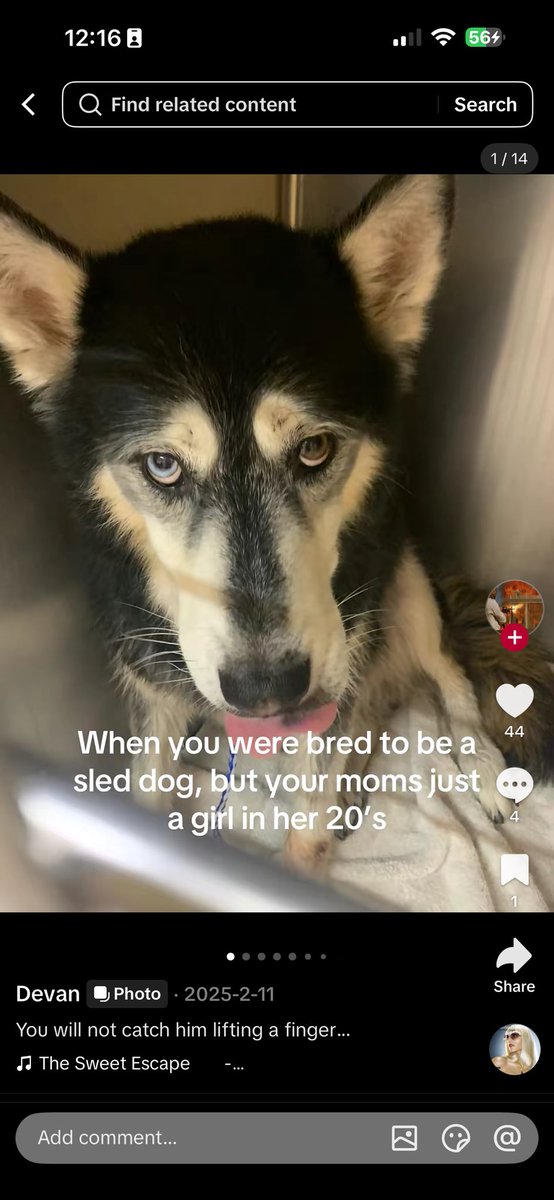 kieran !! 🍉 tweet media