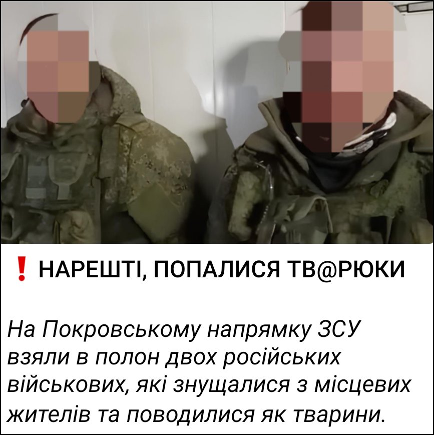 БыльБылева tweet media