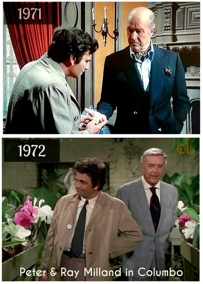 Diletante tweet media