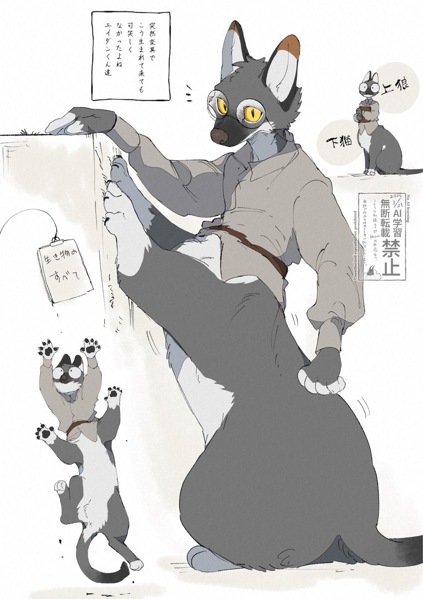 暖ｶｲ炉 tweet media