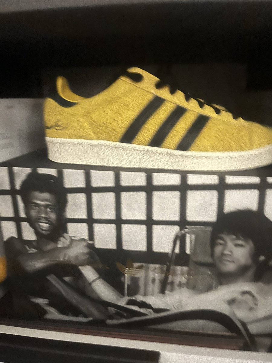 BOOSH 🏴 tweet media