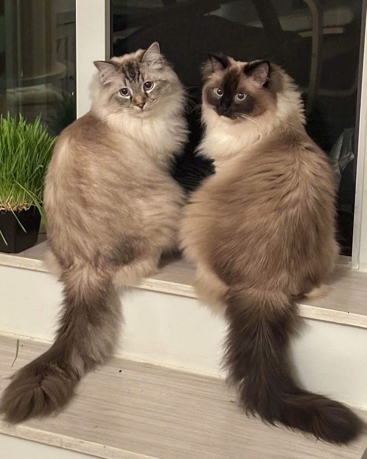 BloomingMoments tweet media