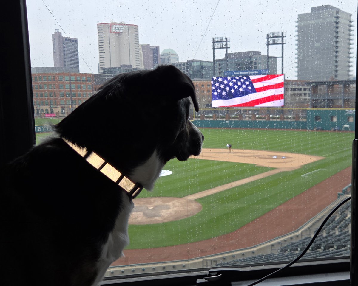 Ryan Mitchell tweet media