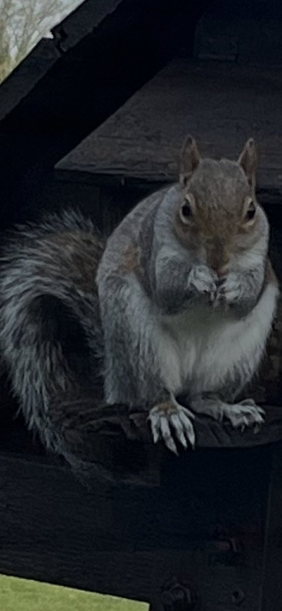 Cotswold Carp Farm Campsite tweet media