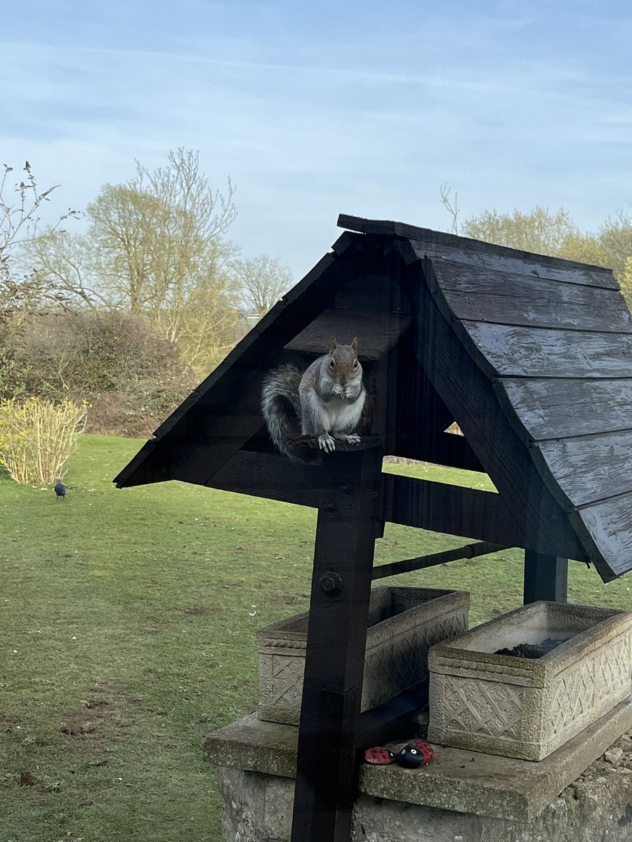 Cotswold Carp Farm Campsite tweet media