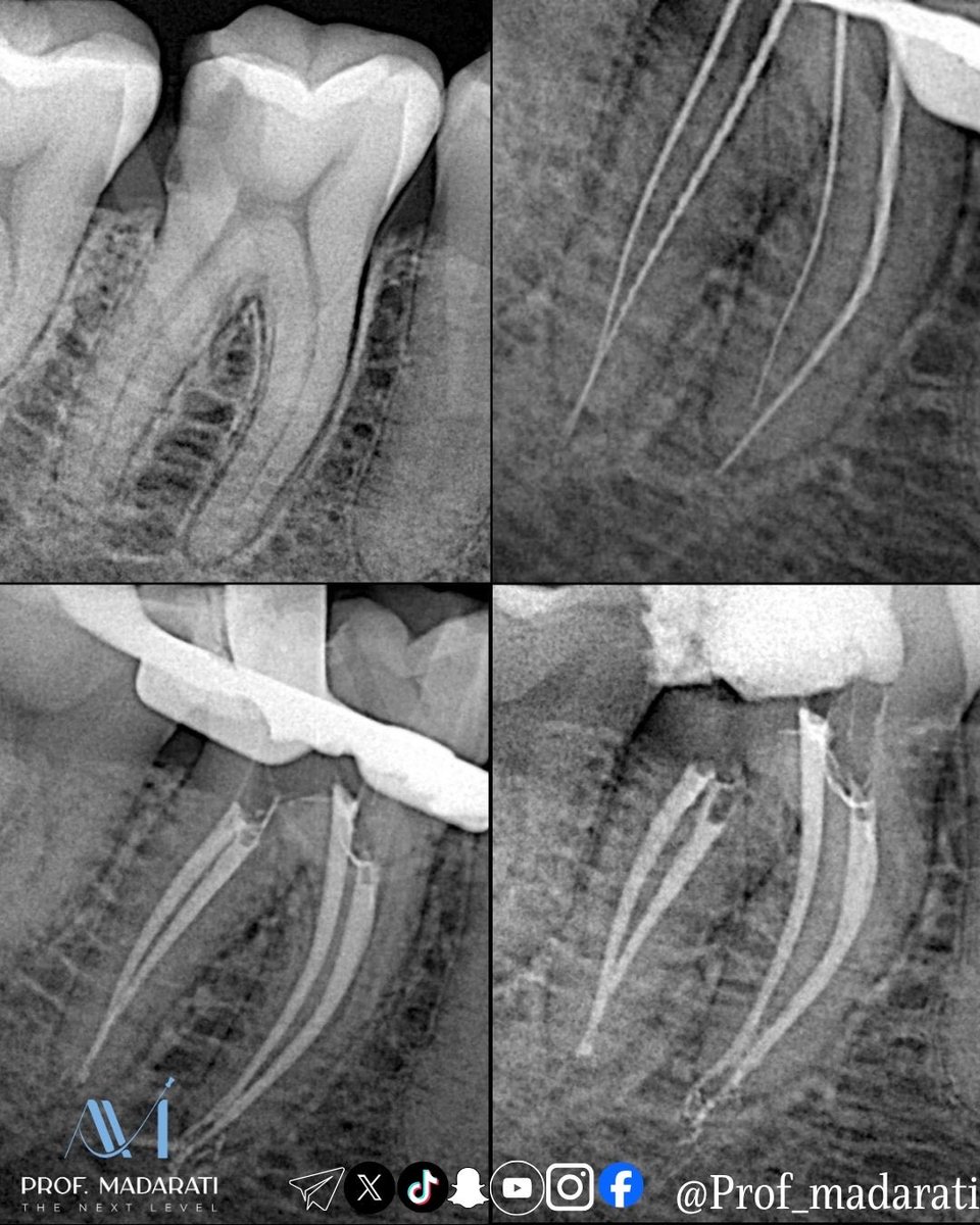 Prof Ahmad Madarati tweet media