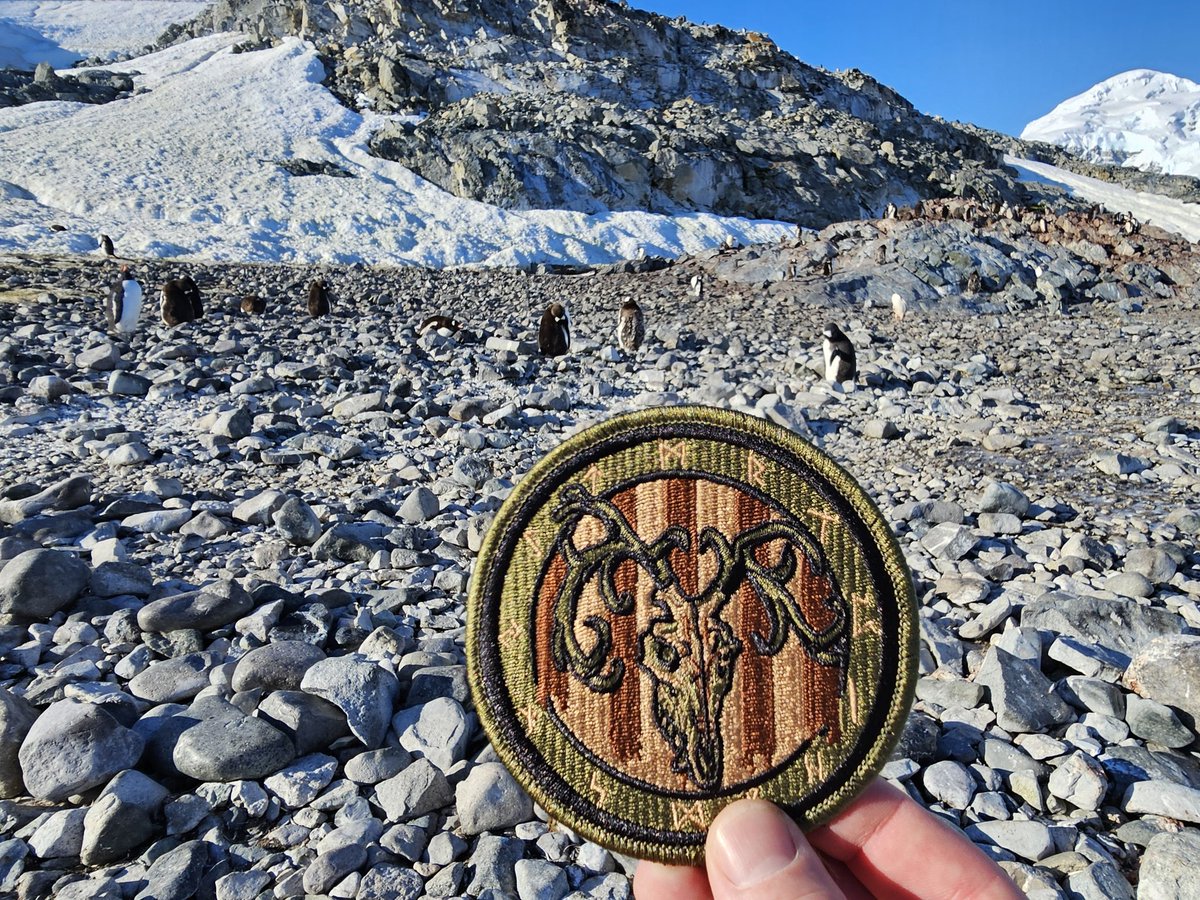 Tooth Chipper tweet media