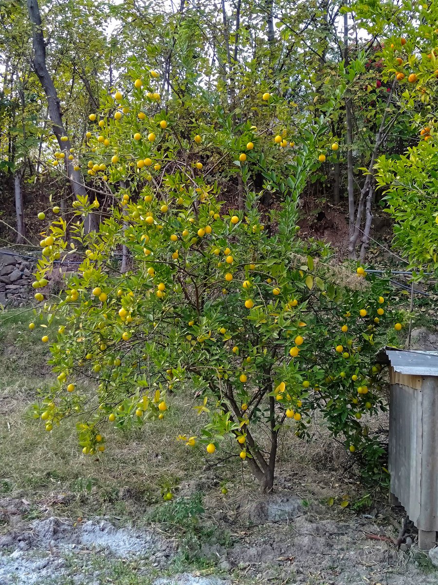 filmtwt please accept me tweet media