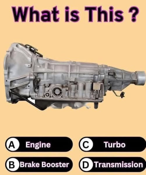 Connie 🇺🇸 tweet media