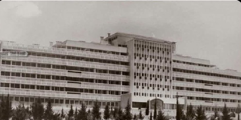 جودي tweet media