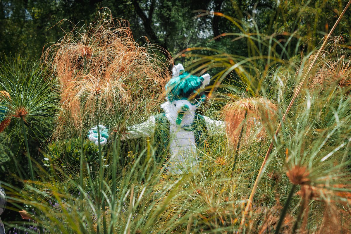 Snowey~💚💙 tweet media