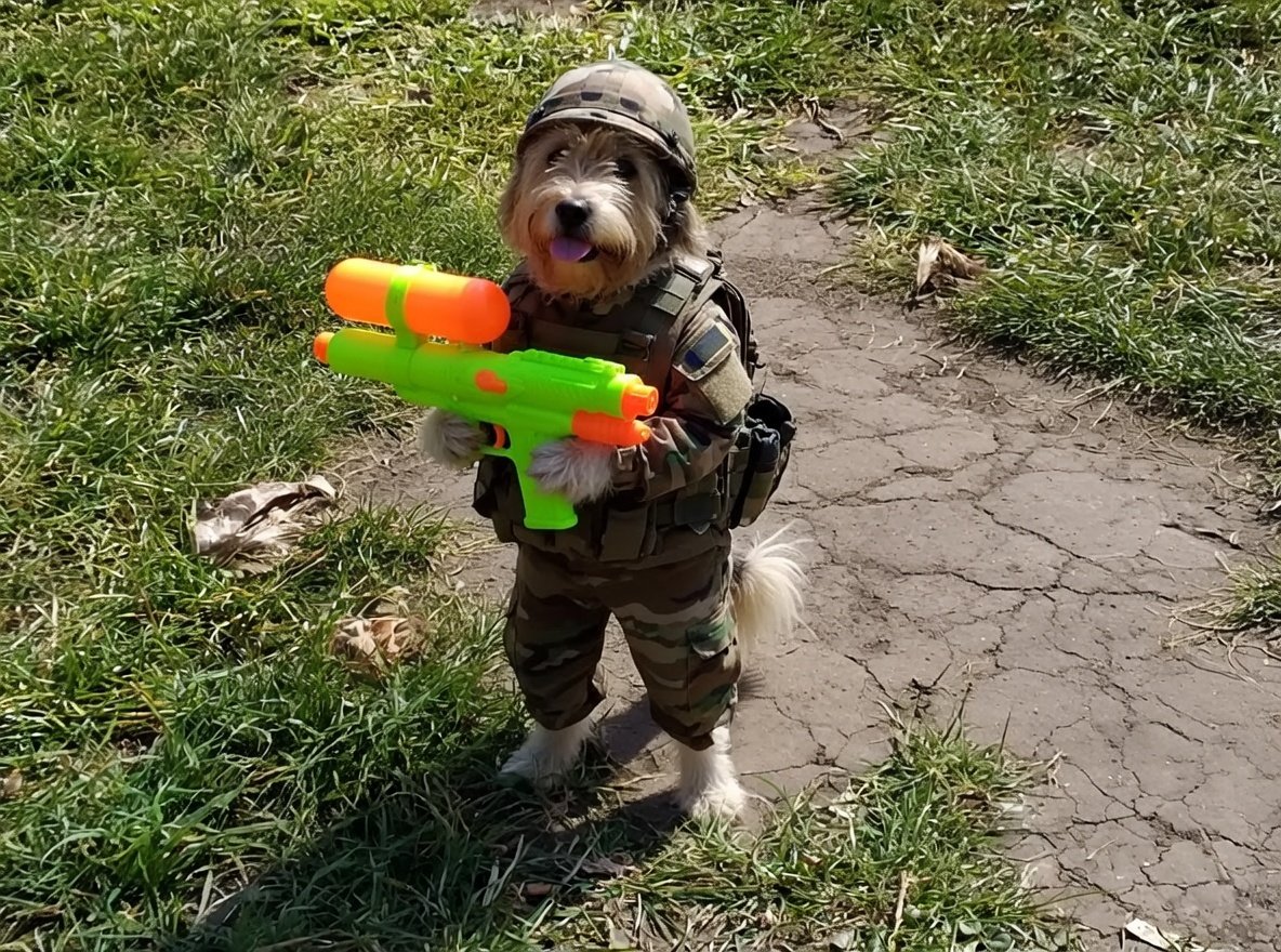 Fergie wiv Tessa & Mr Trebus at da 🌈 (Molly) tweet media