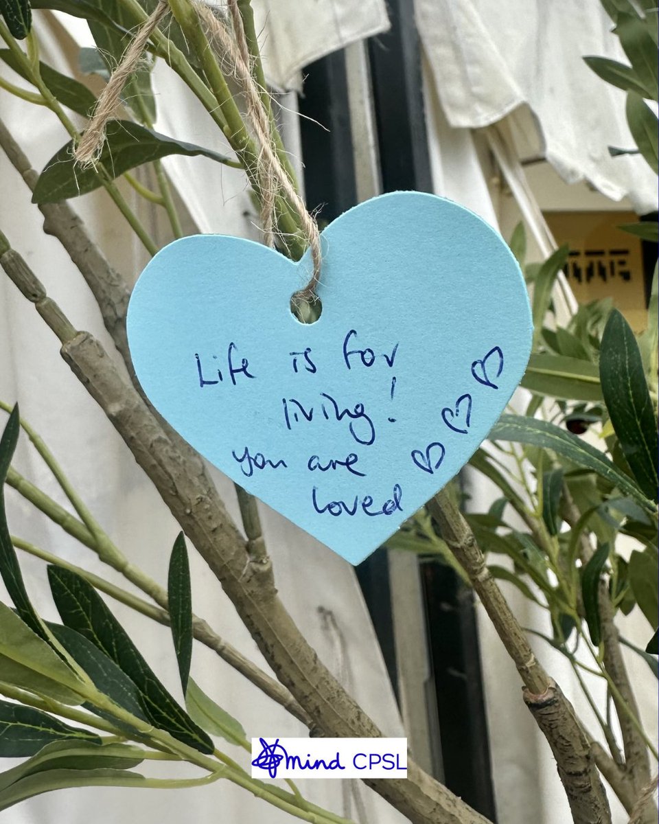 CPSL Mind tweet media