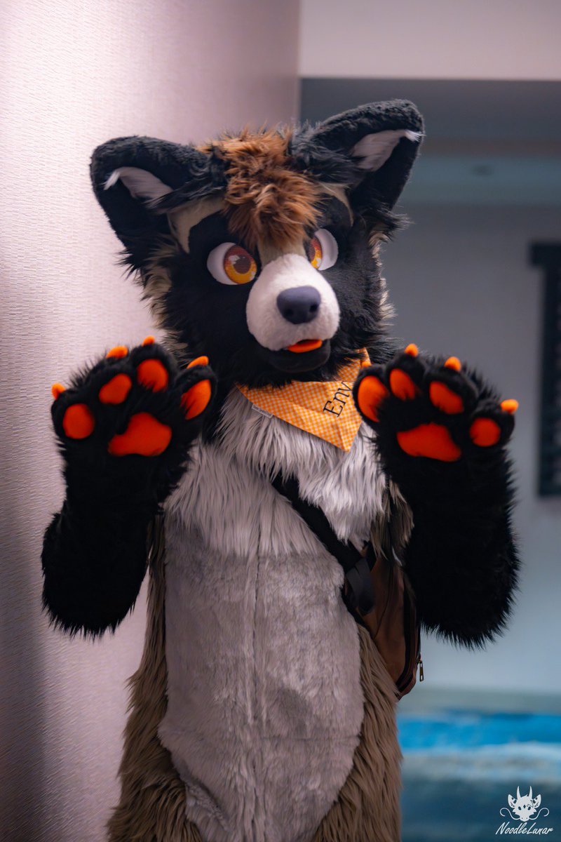 Envy 🔜 LVFC tweet media