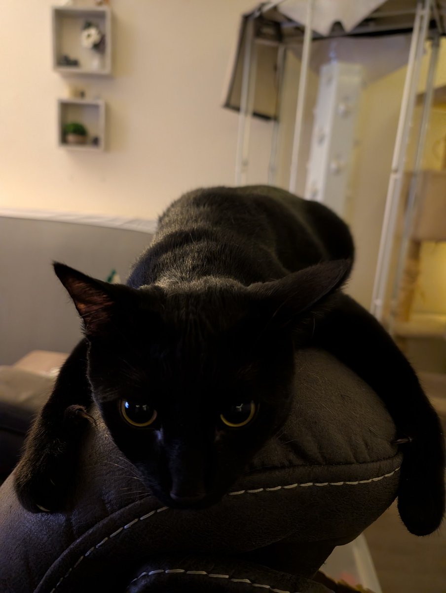 Subcoder tweet media