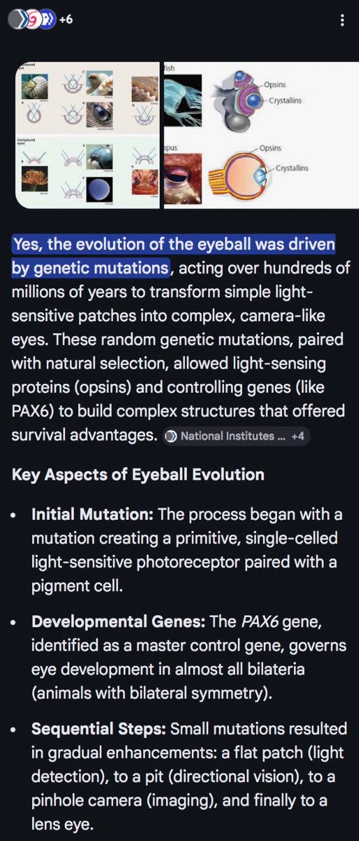 DiverseCurse tweet media