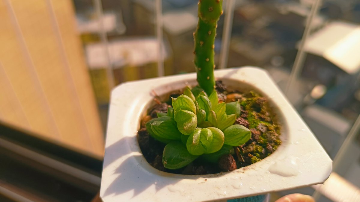 Eddie Irwin tweet media