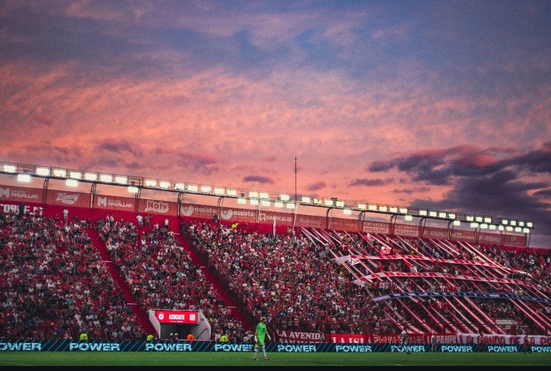 Momentos del bicho tweet media