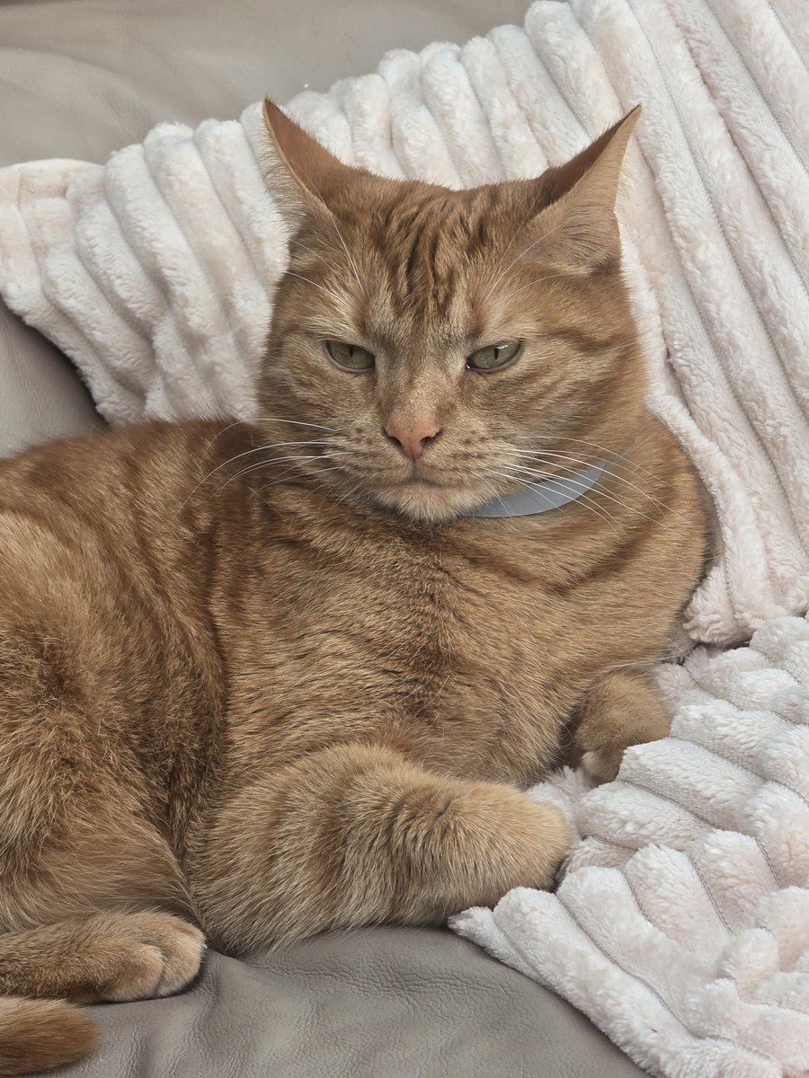 ek$idilli🔆 tweet media