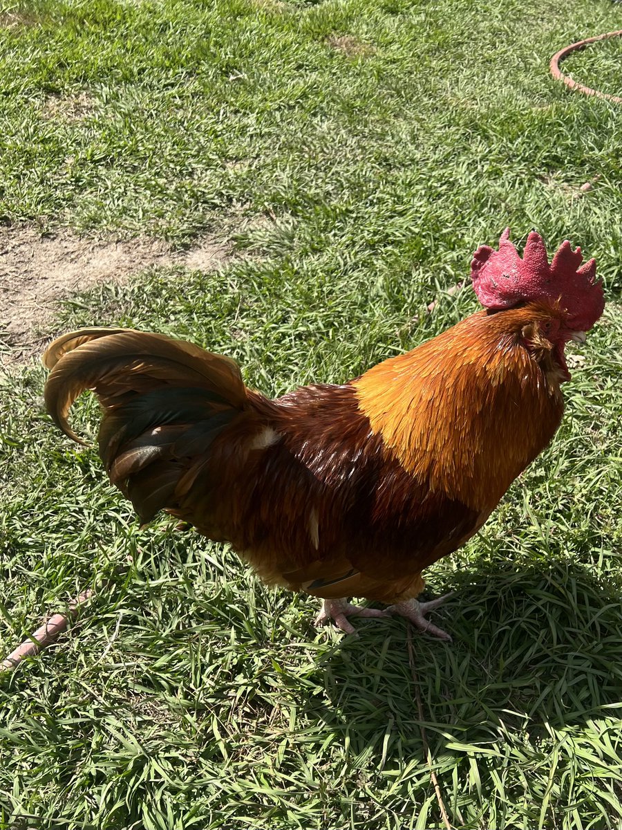 Shepherd Overwatch⚓️ tweet media