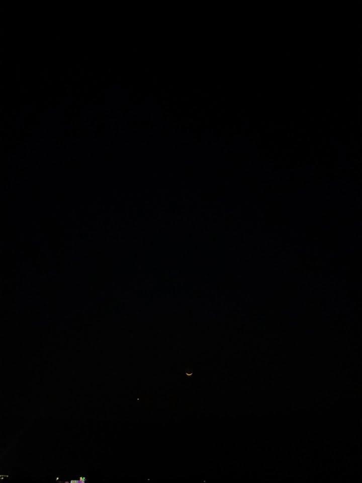 Panra 🌿 tweet media