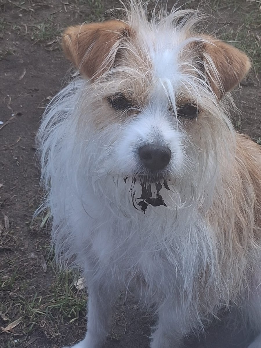 Lili, die neue.... tweet media