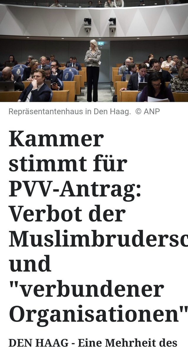 Nina Scholz tweet media