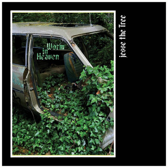 Roni Sighs tweet media