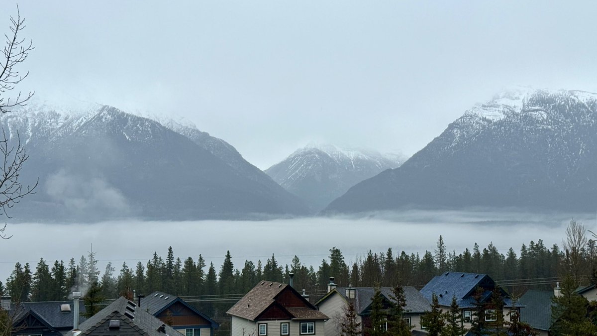 Stan Williams 🇨🇦 tweet media